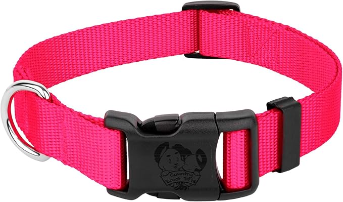 Country Brook Petz - Everyday Nylon Dog Collar for Large, Medium, and Small Dogs and Puppies - for Everyday Use in 10+ Warm Colors (Medium, 3/4 Inch Wide, Hot Pink)