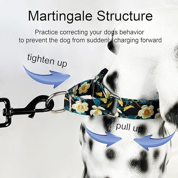 Martingale Collar for Dogs Floral Dog Collars for Small Medium Large Dogs with Buckle Adjustable Soft Nylon Dog Collar (Luxury Golden Flowers, Small)