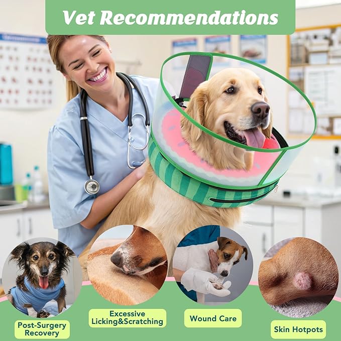 Inflatable Dog Cone with Anti-Licking Clear Shield, Protective Dog Donut Collar After Surgery, Adjustable Soft Recovery Cone for Pets, Alternative Collar with Buckle Strap (Watermelon, M)