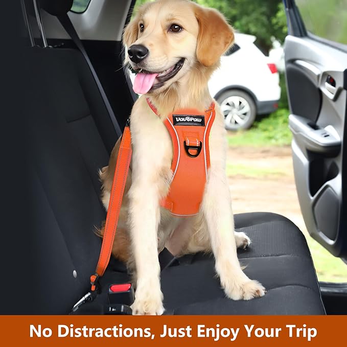 VavoPaw Dog Seat Belt Harness for Car, Dog Car Harness Adjustable Mesh Breathable & Dogs Seatbelt Safety Tether with Elastic Bungee for Small Medium Large Pets(Orange, S)