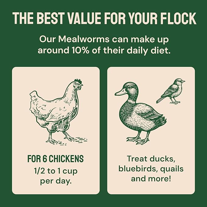 Hatortempt 20lb Dried Mealworms for Chickens - 50% Protein and 32% Essential Fats to Support Healthy Feather Growth During Molt - Organic Treats for Chickens, Ducks, Wild Birds & Reptiles