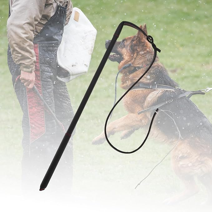 Dog Training Whip, Dog Agitation Stick Flog Teaser Wand, Dog Target Stick Outdoor Playing, for Pulling, Chasing, Training, 20.87" Rod Length, Black