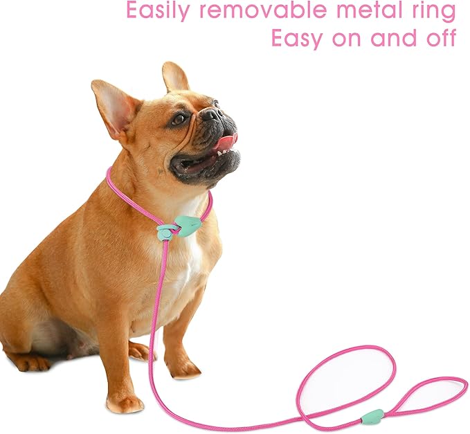 Dog Training Leash Slip Leads for Dogs 6 FT Slip Leash for Dogs Dog Lead with 6 Colors Strong Nylon No Pull Rope Dog Leash Dog Leashes for Small Medium Dogs (Rose Red)
