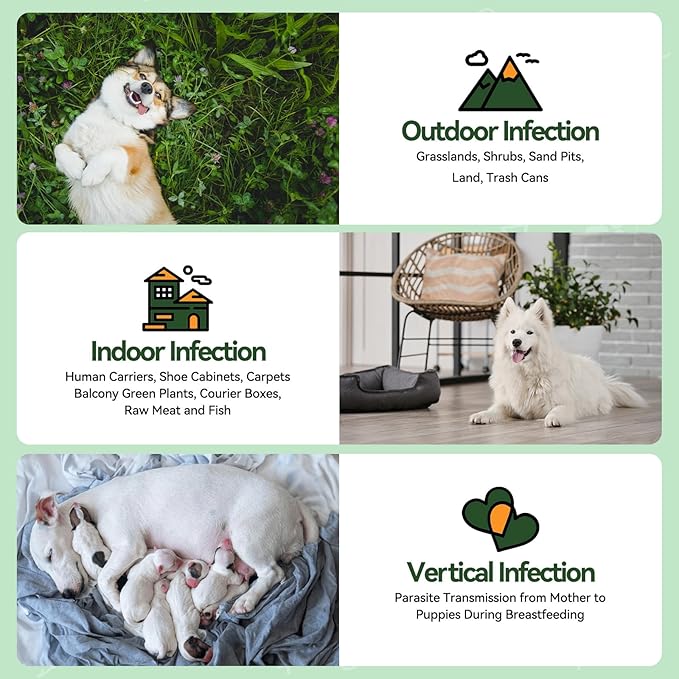 Carmelie Flea and Tick Prevention for Dogs - 200 Chews Natural Dog Flea and Tick Support, Oral Flea Supplement for All Dogs, Supports Healthy Skin & Coat, Puppy Flea Protection - Chicken Flavor
