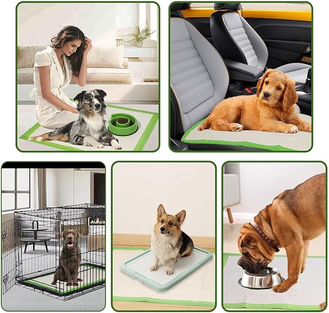 Gardner Pet Dog Pee Pads Extra Large 27.6"x33.5", XL Thicker ECO Green Disposable XLarge Puppy Training Pads Super Absorbent Full Edge-Wrapping Pad for Dogs, Puppies, Doggie, Cats, Rabbits-(30 Count)
