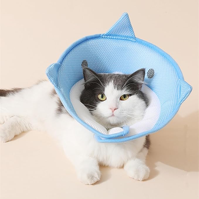 alfyng Elizabethan Dog Neck Collar Cute Shark Shape Dog Cone for Dogs Cats After Surgery Comfy Pet Recovery Collar & Cone for Small Dogs Or Cats (M)