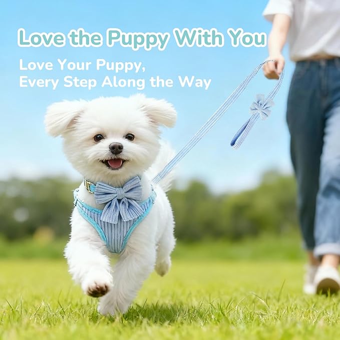 Small Dog Collar Harness and Leash Set, Dog Harness no Pull with Bowtie, Breathable Cotton Adjustable Pet Puppy Harness, Easy Walk Dog Harness, S(14–18.9")