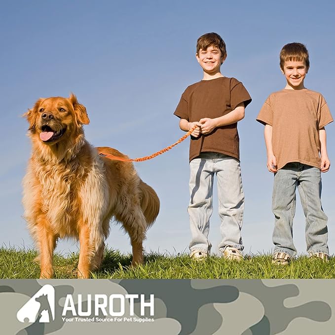 AUROTH Large Dog Leash - Heavy Duty Bungee, No Pull, Orange 6FT, 2 Padded Handles