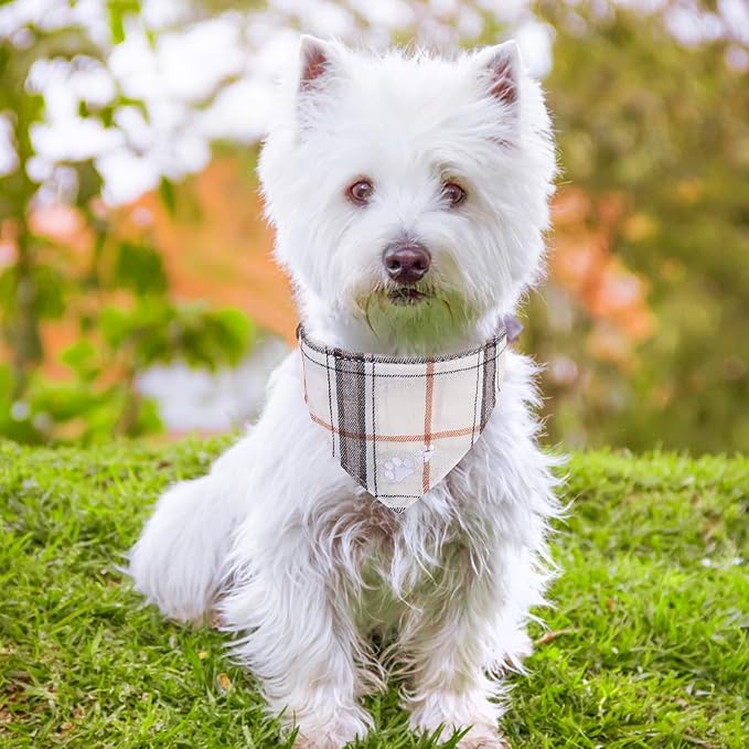 EXPAWLORER Puppy Collar and Leash - Embroidery Pawprints Plaid Small Dog Collars and Leash Set, Cute Bandana and Detachable Collar, Suitable for Small Dogs Cats Girl Boy, Cream XS