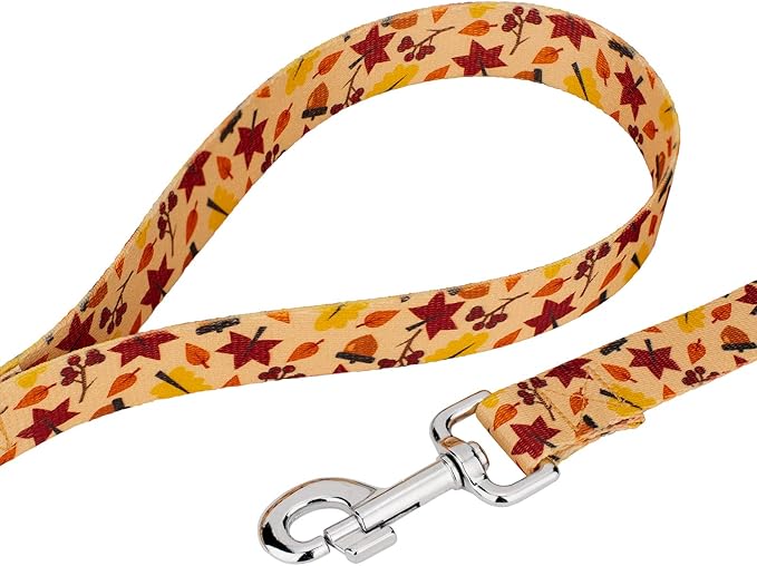 Country Brook Petz - Fall Foliage Everyday Dog Collar and Leash - Awesome Autumn Collection Featuring Designs You Will Fall for (1/2 Inch, 2XS)