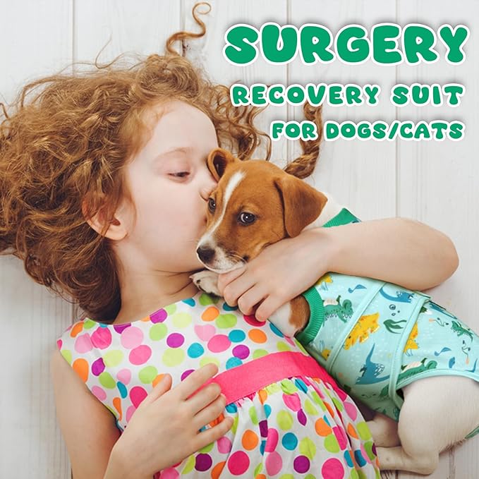 Dog Surgery Recovery Suit, Abdominal Surgical Suit for Male Female Dog Post Spay Neuter, Breathable Pet Onesie E-Collar & Cone Alternative, Surgery Shirt to Prevent Licking, Green, Large