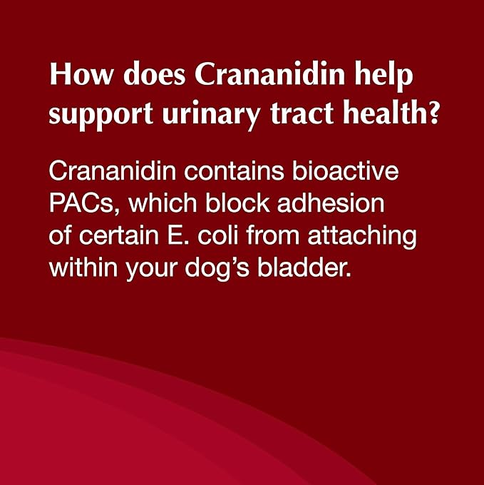 Nutramax Crananidin for Dogs, Urinary Tract Health and Bladder Health Support, Cranberry Supplement for Dogs of all Breeds and Sizes, Chewable Tablets, 75 Count