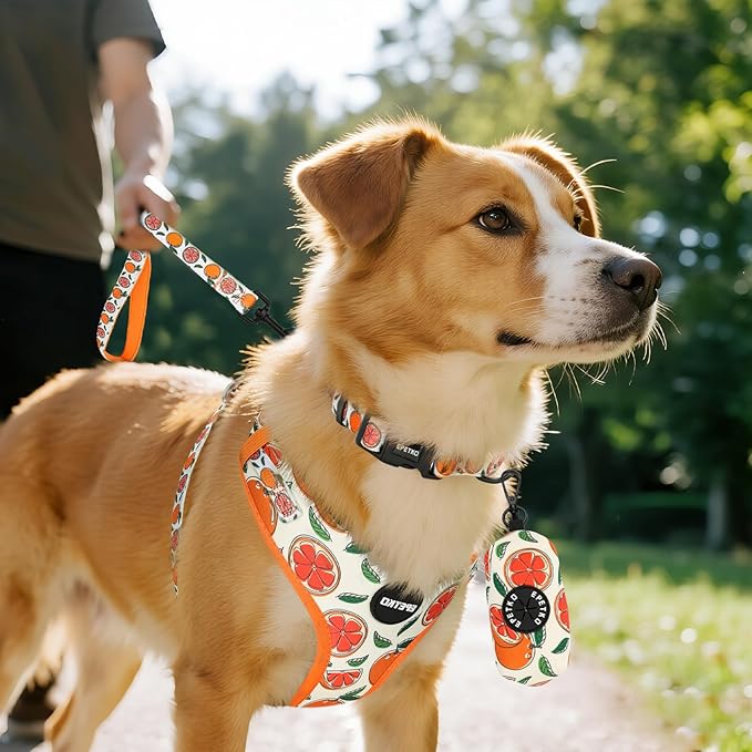 Small Dog Harness and Leash Set of 6, No Pull Soft Lightweight Mesh Puppy Harness, Adjustable Cute Floral Pattern Pet Harness for Small Medium Dogs (Orange, S)