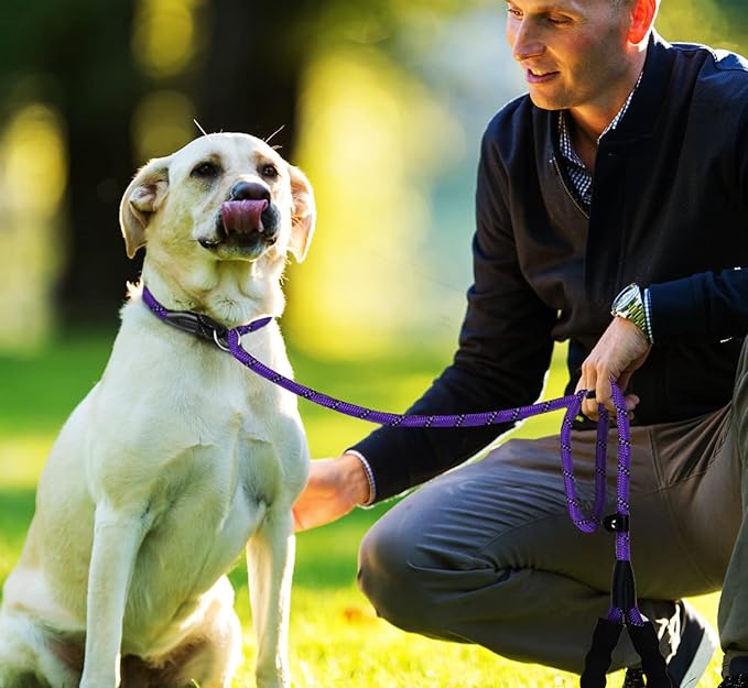 Dog Rope Leash, Strong Dog Leash, Premium Quality Training Dogs Leashes with Comfortable Padded Handle and Highly Reflective Threads for Small Medium and Large Dogs, (Purple)