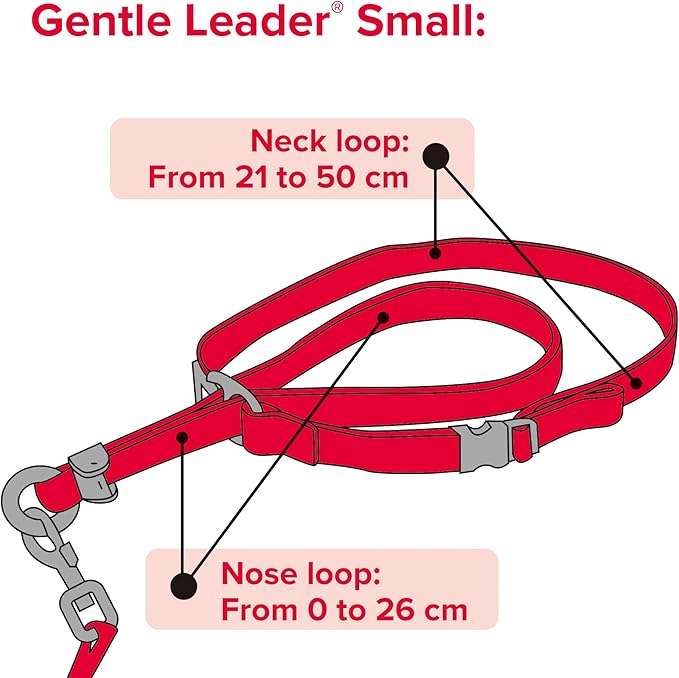 Beaphar | Gentle Leader | Head Collar for Small Dogs | Stops Pulling On The Lead | Training Aid with Immediate Effect| Endorsed by Behaviourists | Red x 1