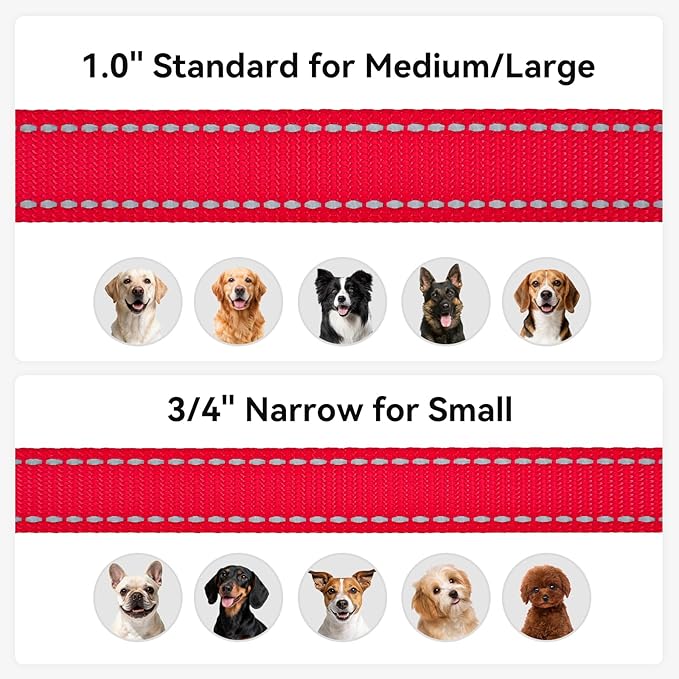 Joytale Dog Leash, 6 FT Double-Sided Reflective, Padded Handle Nylon Heavy Duty Leashes for Medium & Large Dogs Walking, Red