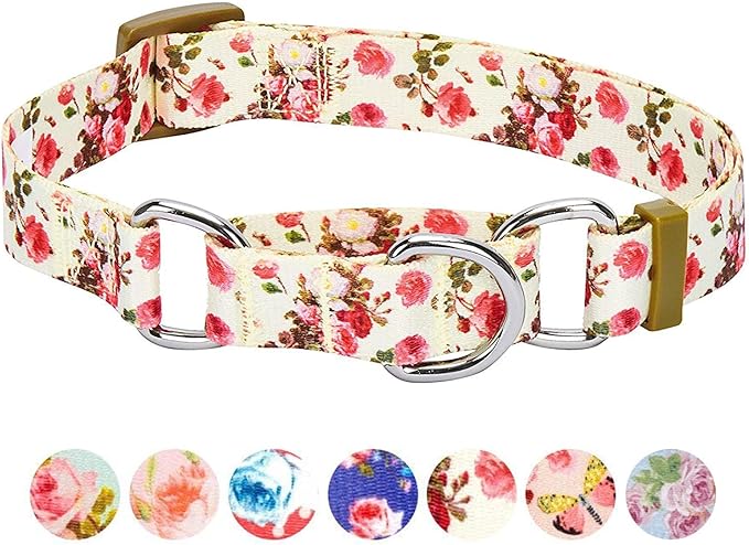 Blueberry Pet Spring Scent Inspired Rose Print Martingale Safety Training Dog Collar, Ivory, Large, Heavy Duty Adjustable Collars for Dogs