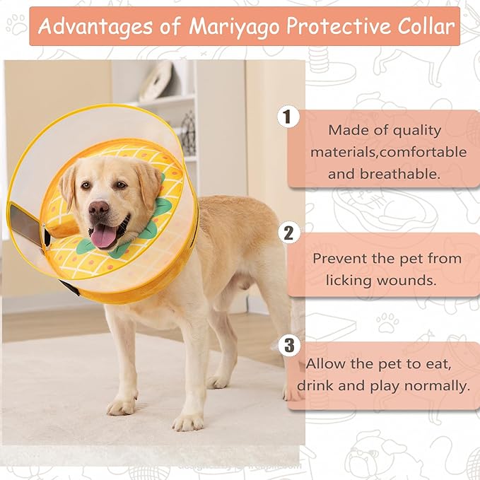 Inflatable Dog Cone Collar for Large Medium Small Dogs, Soft Dog Donut Collar Adjustable Recovery Cone for Pets After Surgery, Extra Enhanced Anti-Licking Guard Shield (Pineapple, Medium)