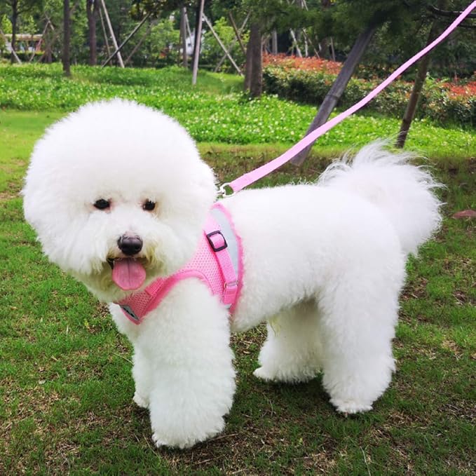 FEimaX Dog Harness and Leash Set for Walking, Soft Mesh Adjustable Easy Control Lightweight Cat Vest Harnesses with Reflective Strips, Escape Proof Small Dogs Cats Vests (Pink, Large)