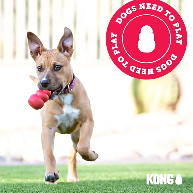 KONG Cozie Marvin Moose & SqueakAir Balls (3 Pack) - Dog Fetch & Chew Toys for Fun - Soft Toy Moose for Indoor Play - Durable Dog Toy Balls for Outdoor Play - for Small Dogs