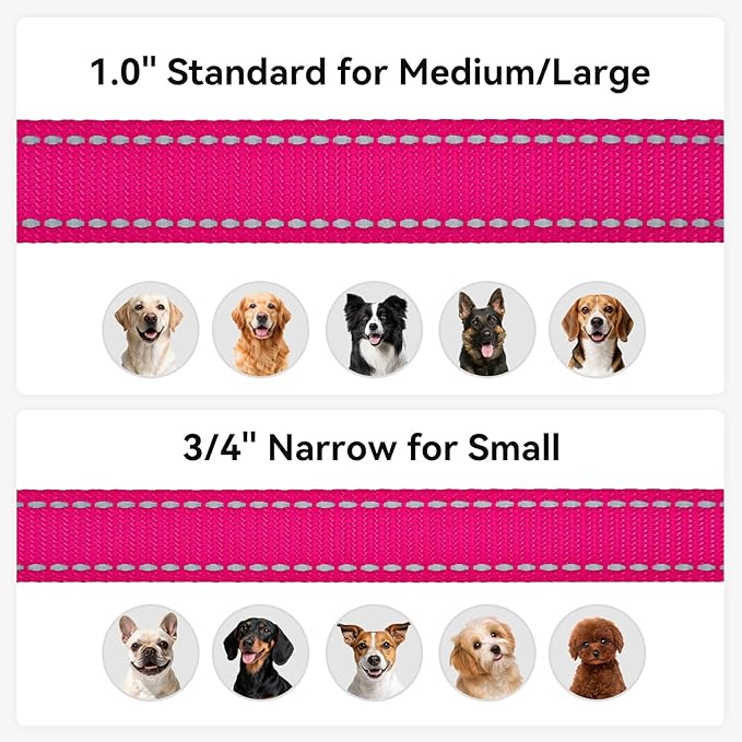 Joytale Dog Leash, 5 FT Double-Sided Reflective, Padded Handle Nylon Heavy Duty Leashes for Small Dogs Walking, Hotpink