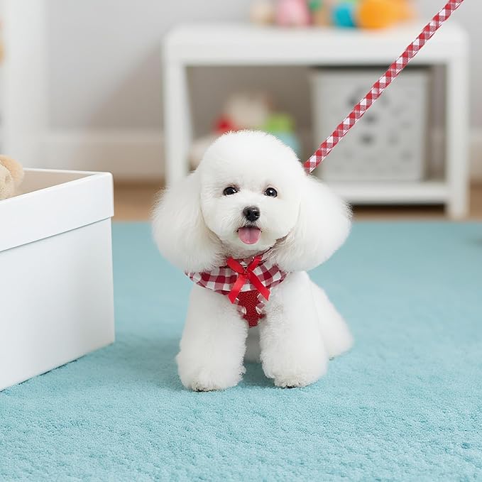 EXPAWLORER Cute Dog Harness and Leash Set - Red Girl Dog Harness Checkered Step-in Design, Easy Adjustable No-Choke Lightweight Breathable Vest for Puppy Small Dogs Cats Outdoor Walking, X-Small