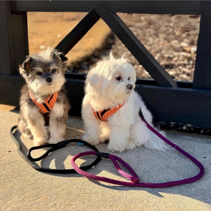 Gooby Mesh Leash - Purple, 4 FT - Breathable Mesh 4 Foot Leash for Small Dogs with Bolt Snap Clasp - On The Go Dog Leashes for Small, Medium, and Large Dogs