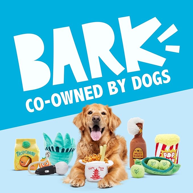 Barkbox Pineapple Fling Flying Disc Dog Toy | Fluff-Free Crinkle Disc with T-Shirt Rope Edge | Durable Fetch Toy for Dogs & Puppies Who Love to Toss & Play