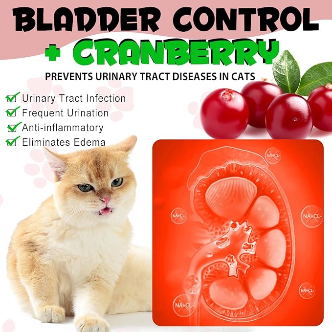 Urinary Tract for Cats, Natural Cat Urinary Tract Infection Treatment Drops Supports Bladder, Kidney Stone, Cat UTI, Cranberry Kidney Bladder Support Supplement, Chicken Flavor - 60ml / 2.02oz-2PCS