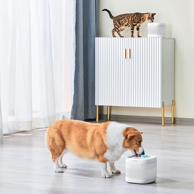 PAWGETHERยฎ 3Pcs Cat Water Fountain Filter Compatible with 67oz/2L Dog Water Fountain P3/P3s/P3SU Pet Water Fountain Replacement Filter