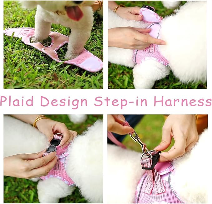 Hipubby Dog Harness Small Sized and Leash Set, No Pull Soft Mesh Puppy Vest, Reflective Breathable Lightweight Pet Harness, Harness for Small Medium Dogs and Cats - Light Pink L