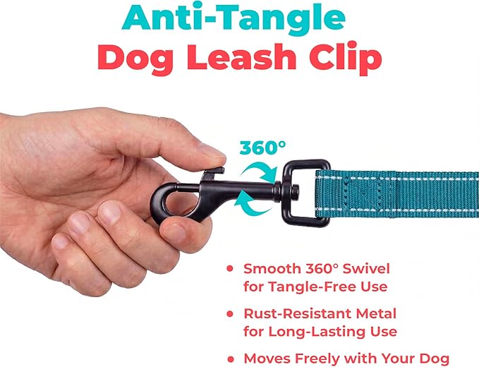 Best Pet Supplies Voyager Reflective Dog Leash or Collar with Neoprene Handle, for Small, Medium, and Large Breed Puppies, Cute and Heavy Duty for Walking, Running and Training - Turquoise (Leash), L