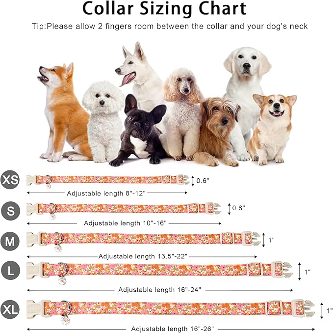 ARING PET Spring Summer Dog Collar, Cute Daisy Wildflower Floral Blossom Pet Collars for Small Medium Large Girl Dogs-S Size
