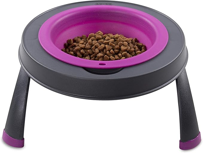 Dexas Pets Single Elevated Pet Feeder/Pet Bowl, 4 Cup Capacity, Fuchsia, Large/4 Cup Capacity