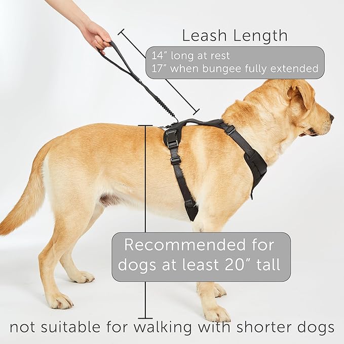 TUG Grab Dog Harness | Integrated Traffic Leash Magnetically Attached for Quick Control (Medium/Green)