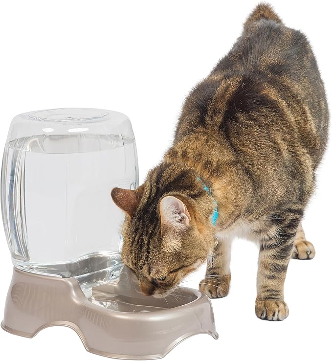 Petmate Pet Cafe Cat and Dog Water Dispenser - Water Bowl for Cats and Dogs, USA Made, .75 GAL, Pearl Tan
