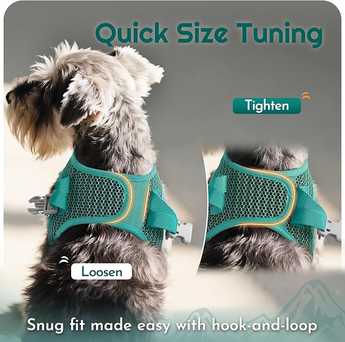 Eagloo Small Dog Harness and Leash Set, Step in Puppy Vest with Breathable Soft Mesh, Walking Reflective Pet Harness for Small Dogs, Forest Green, L