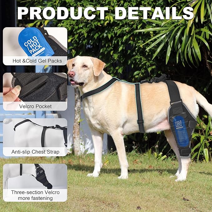 Dog Knee Brace for ACL Tear, Hot/Cold Compress Rear Leg Support, Senior Dog Knee Support with Ice Pack for Joint Dysplasia & Ligament Injuries, Rear Left Leg, M