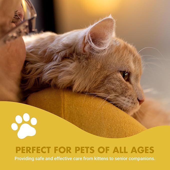 LIQUID-VET Feline Kidney & Bladder Advanced Formula, Seafood Flavor, 8 oz