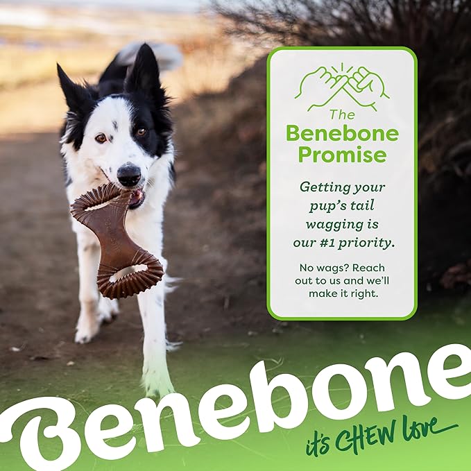 Benebone Dental Durable Dog Chew Toy for Aggressive Chewers, Real Chicken, Made in USA, Large