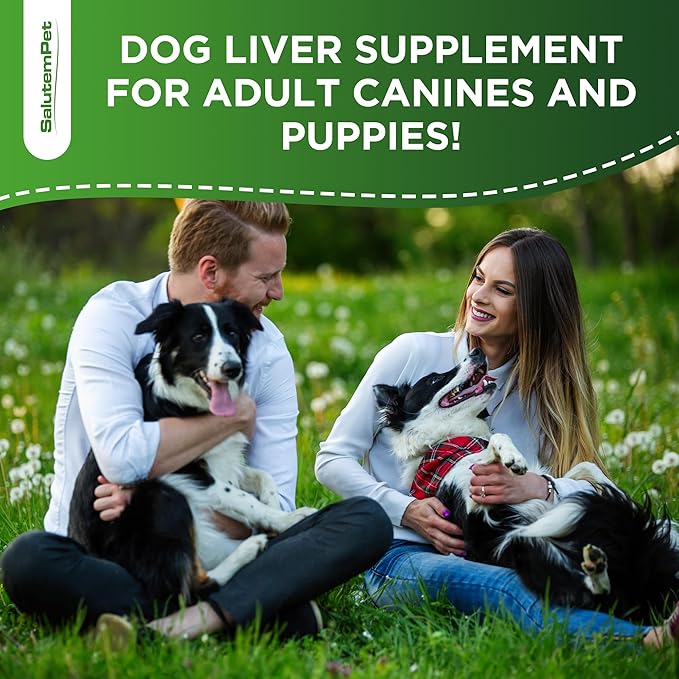 Milk Thistle for Dogs | Dog Liver Supplement for All Ages and Breeds | Here is Only Herbal Composition | + Attractive and Super Yummy Bacon Flavor | 2 Oz