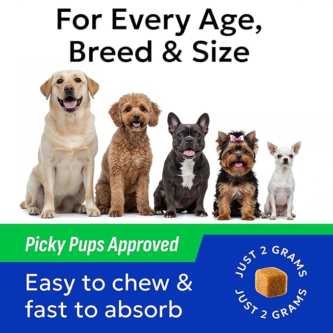 Bark&Spark Dog Probiotics & Digestive Enzymes (Gut Health) Allergy & Itchy Skin - Pet Diarrhea Gas Treatment Upset Stomach Relief, Digestion Health Prebiotic Supplement Large Dog Treats (240Ct Bacon)