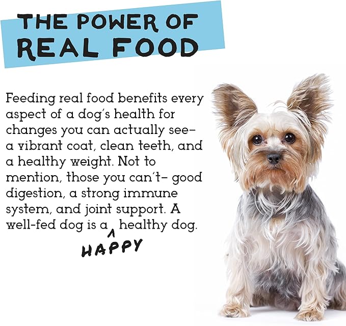 Simple Food Project - Duck & Trout Recipe - Freeze Dried Raw Food for Dogs - 24oz