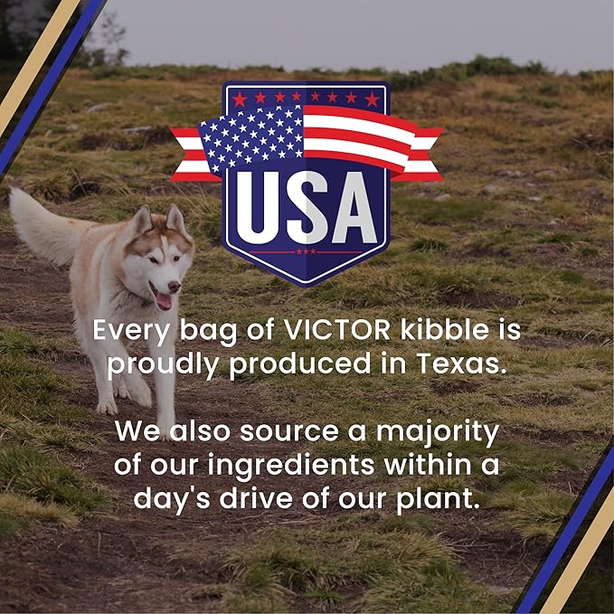 VICTOR Super Premium Dog Food – Select Beef Meal & Brown Rice Formula for Immune and Gut Health – Gluten-Free Beef Meal Dry Dog Food for All Normally Active Dogs of All Life Stages, 40 lbs