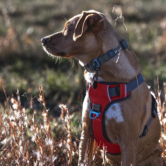 Embark Adventure Large Dog Harness – No-Pull, Reflective Trim, Military-Grade Nylon, Front Clip with Gel-Lined Handle