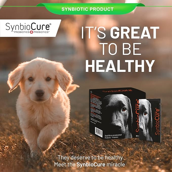 I Probiotics & Prebiotics for Dogs I Powder Dog Supplement I Digestive Health Support I 200 Billion Bacteria Per Sachet I 30 Sachets*2 g