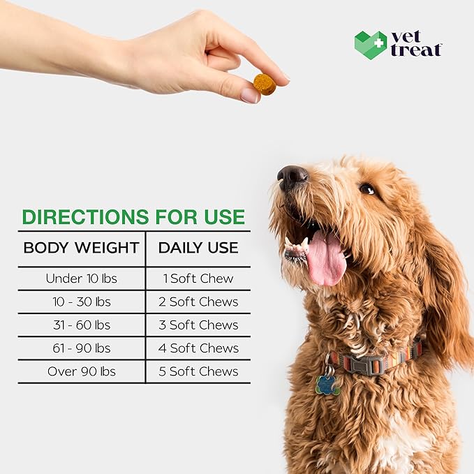 VET TREAT Dog Multivitamin Chewable with Glucosamine & Salmon Oil – Made USA – Puppy & Senior Supplement – 120 Chews– Daily Wellness Support for Joints, Immune System, Skin & Coat, Heart & Digestion
