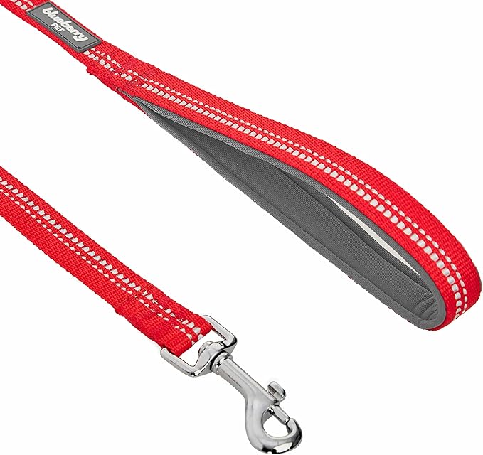 Blueberry Pet 3M Reflective Pastel Color Dog Leash with Soft & Comfortable Handle, 5 ft x 3/4", Red, Medium, Leashes for Dogs