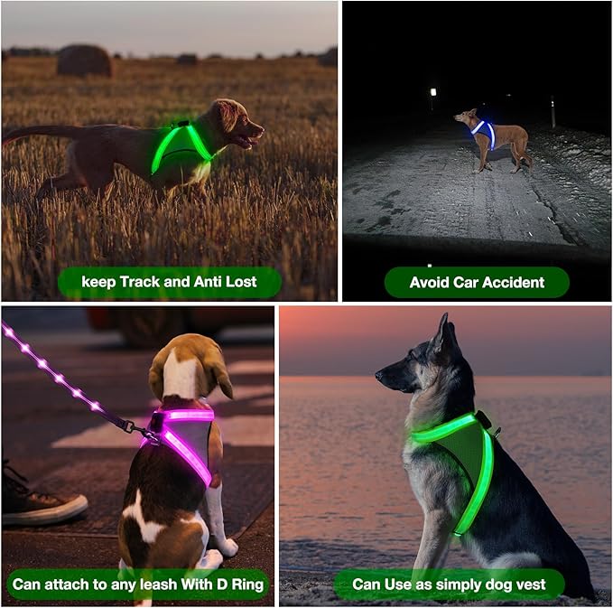 ChalkLit Light Up Dog Harness, No Pull Led Dog Harness Glow-in-The-Dark for Night Walking, USB Rechargeable Lighted Safety Vest for Medium Large Dogs, Adjustable Soft Mesh Fully Illuminated (Green, M)