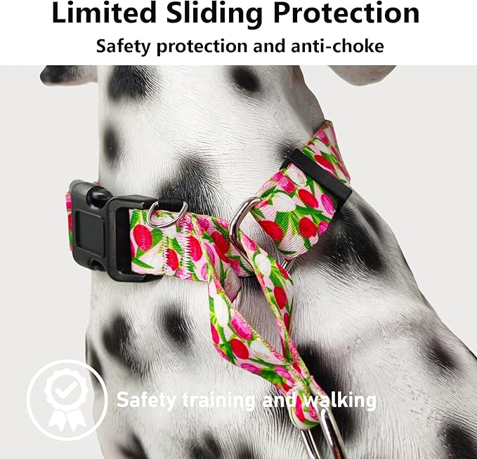 Martingale Collar for Dogs with Buckle Floral No Pull Adjustable Nylon Limited Slip Training Dog Collars (Pink Tulip, Medium)